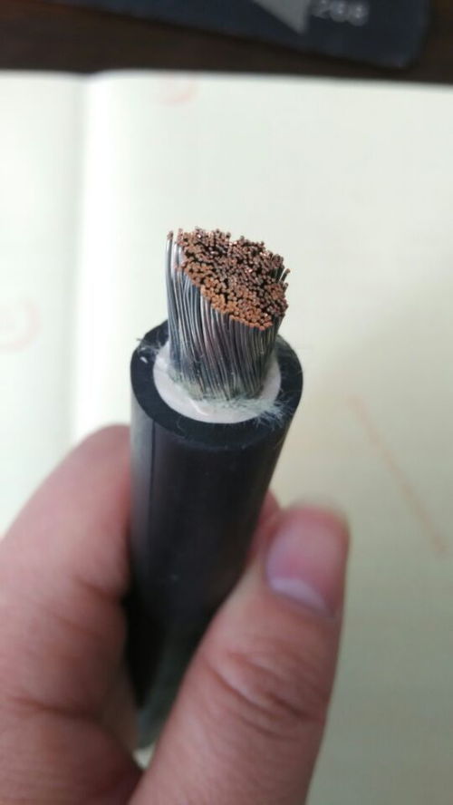聚焦電力建設 1kV鋁芯架空線及特種電纜的技術發(fā)展與市場動態(tài)